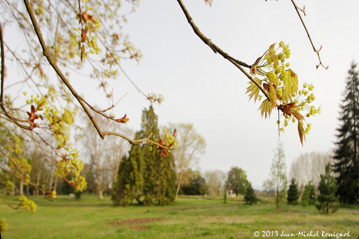 Parc-Chavat_2013_03.jpg