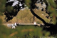 Thumbnail of Parc-Chavat_2013_01.jpg