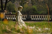 Thumbnail of Parc-Chavat_2013_10.jpg