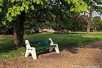 Thumbnail of Parc-Chavat_2013_14.jpg