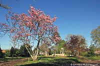 Thumbnail of Parc-Chavat_2013_19.jpg