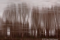 Thumbnail of Parc-Chavat_2013_22.jpg