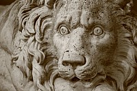 Thumbnail of IMG_9284.jpg