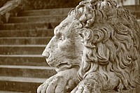 Thumbnail of IMG_9286.jpg