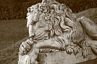 Thumbnail of IMG_9287.jpg