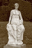 Thumbnail of IMG_9288.jpg