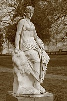 Thumbnail of IMG_9289.jpg