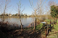 Thumbnail of IMG_9570.jpg