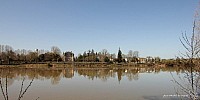 Thumbnail of IMG_9586.jpg