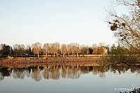 Thumbnail of IMG_9597.jpg