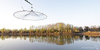 Thumbnail of IMG_9599.jpg