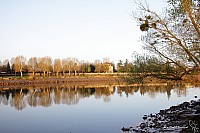 Thumbnail of IMG_9601.jpg