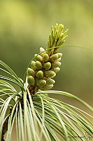 Thumbnail of IMG_9793.jpg