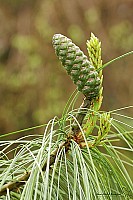Thumbnail of IMG_9798.jpg