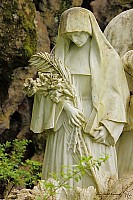 Thumbnail of IMG_9804.jpg