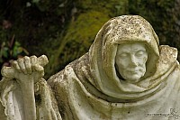 Thumbnail of IMG_9809.jpg