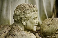 Thumbnail of IMG_9810.jpg