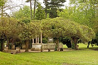 Thumbnail of IMG_9814.jpg