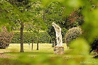 Thumbnail of IMG_9816.jpg