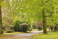Thumbnail of IMG_9818.jpg