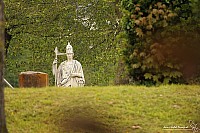 Thumbnail of IMG_9831.jpg