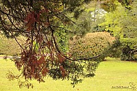 Thumbnail of IMG_9832.jpg