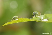 Thumbnail of IMG_9835.jpg