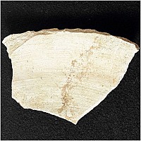 Thumbnail of document_242_100.jpg
