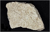 Thumbnail of document_244_100.jpg