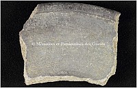 Thumbnail of document_245_100.jpg