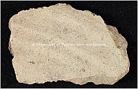 Thumbnail of document_247_100.jpg