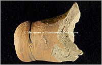 Thumbnail of document_261_100.jpg