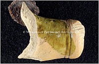 Thumbnail of document_263_100.jpg