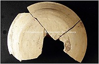 Thumbnail of document_271_100.jpg