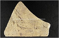 Thumbnail of document_273_100.jpg