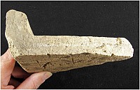 Thumbnail of document_275_100.jpg