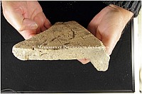 Thumbnail of document_276_100.jpg
