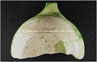 Thumbnail of document_282_100.jpg