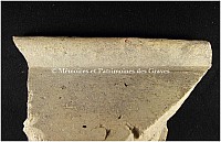 Thumbnail of document_288_100.jpg