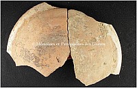 Thumbnail of document_295_100.jpg