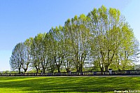Thumbnail of 13-14-1.jpg