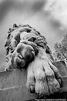 Thumbnail of 21-19-1.jpg