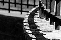 Thumbnail of 31-23-2.jpg