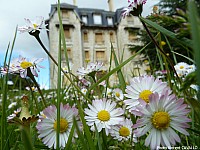 Thumbnail of 41-05-1.jpg
