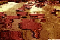 Thumbnail of 52-17-5.jpg
