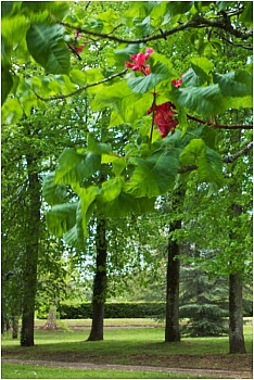 Thumbnail of 1-04-2.jpg