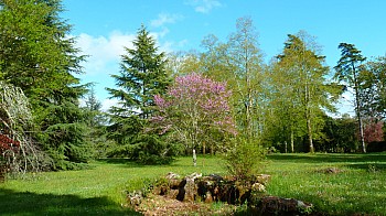 Thumbnail of 1-05-3.jpg