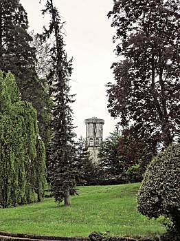 Thumbnail of 1-12-4.jpg
