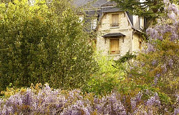 Thumbnail of 1-13-2.jpg