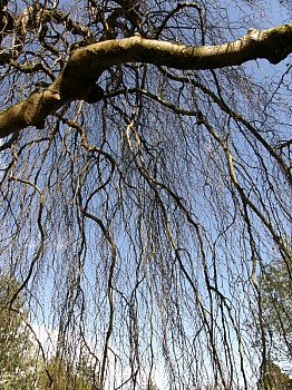 Thumbnail of 1-24-1.jpg